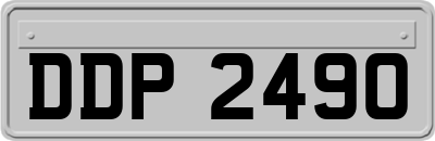 DDP2490