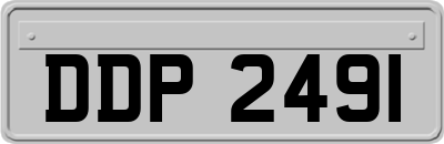 DDP2491