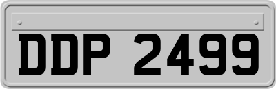 DDP2499