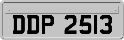 DDP2513