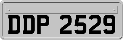 DDP2529