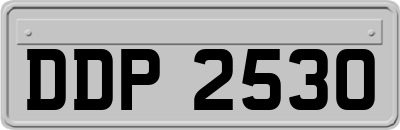 DDP2530