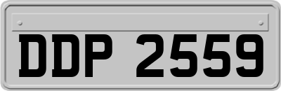 DDP2559