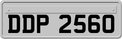 DDP2560