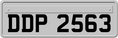 DDP2563