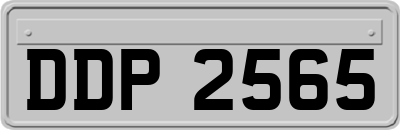 DDP2565
