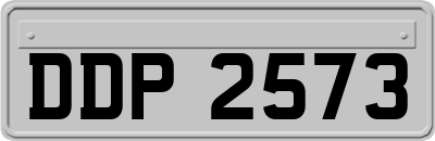 DDP2573