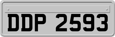 DDP2593
