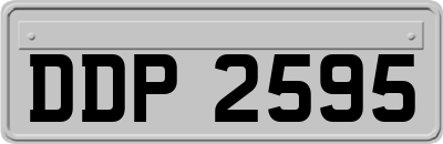 DDP2595