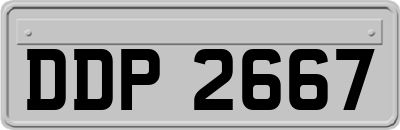 DDP2667