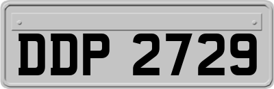 DDP2729