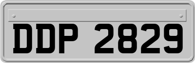 DDP2829