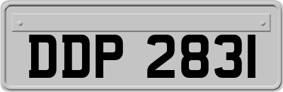 DDP2831