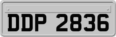DDP2836