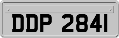 DDP2841