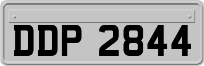 DDP2844
