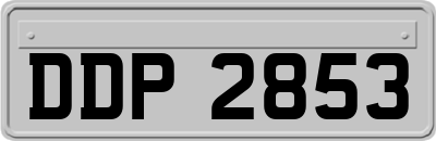 DDP2853