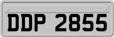 DDP2855
