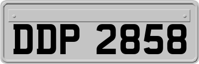 DDP2858