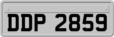 DDP2859