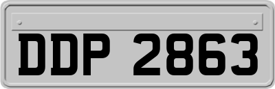 DDP2863
