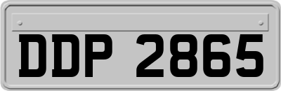 DDP2865
