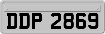 DDP2869