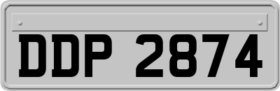 DDP2874