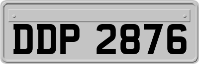 DDP2876