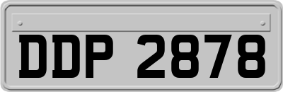 DDP2878