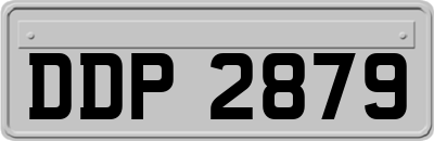 DDP2879