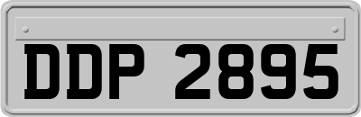 DDP2895