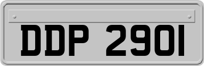DDP2901