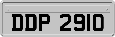DDP2910