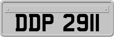 DDP2911
