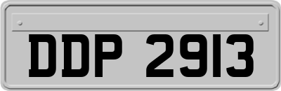 DDP2913