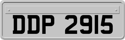 DDP2915