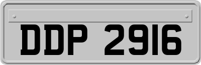 DDP2916