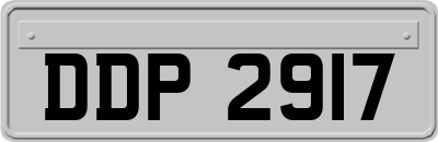 DDP2917