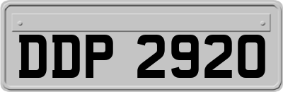 DDP2920