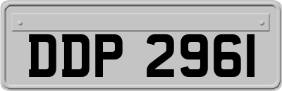 DDP2961