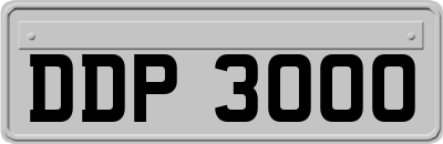 DDP3000