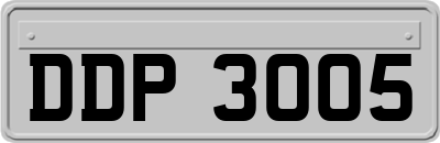 DDP3005