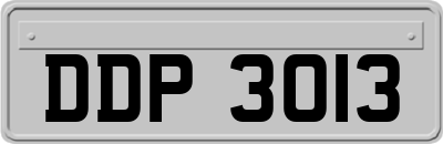 DDP3013