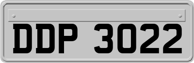 DDP3022