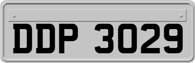 DDP3029
