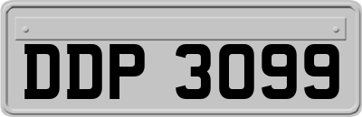 DDP3099