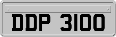 DDP3100