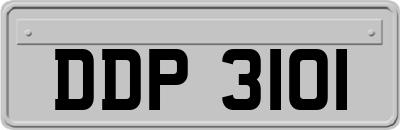 DDP3101
