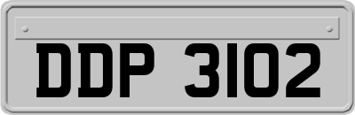 DDP3102